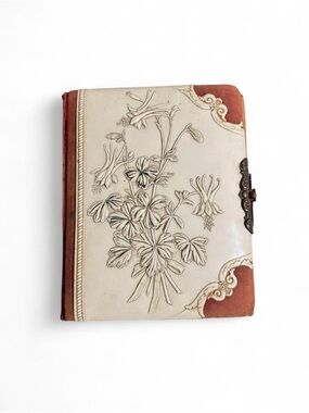 Antique Victorian Celluloid and Velvet Floral Latch Photo Album